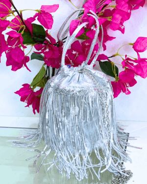 Mini Bolso Limosnera