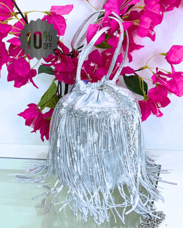 21 Mini Bolso Limosnera