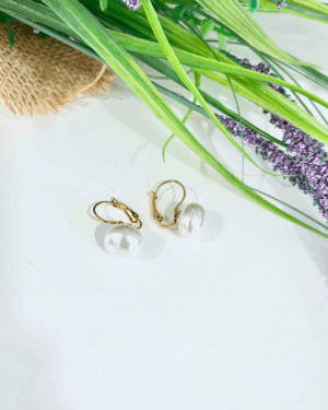 Fotos web - 470 Pendientes Armonía