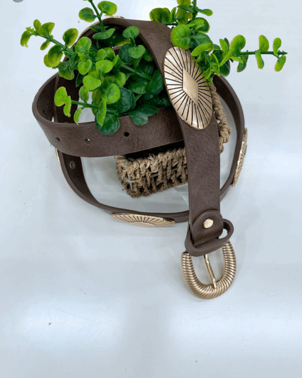 Fotos web 2 - 104 Cinturón Astures