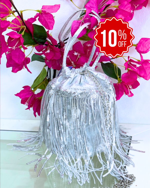 Mini Bolso Limosnera